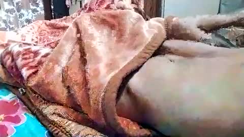 Snapshot of nooby942461 chatting on 03.01.25 sim nib online show from 03.01.25