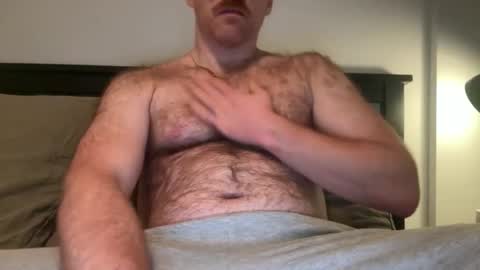 Snapshot of noplann chatting on 12.02.25 No Plan online show from 12.02.25