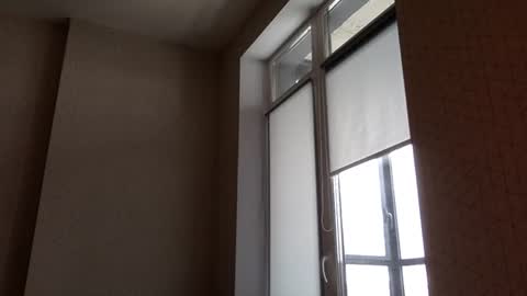 Justin online show from 03.05.26