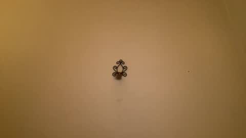 Snapshot of noscandal chatting on 02.21.25 noscandal online show from 02.21.25