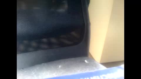 Snapshot of nostradamuslu chatting on 11.10.25 nostradamuslu online show from 11.10.25