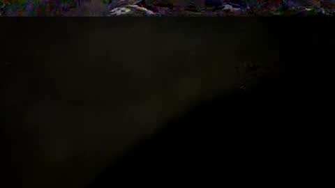 DarqLight online show from 05.04.26