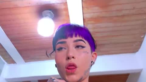 Nova kitty tx online show from 04.15.26