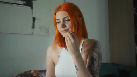 Nova online show from 11.09.25