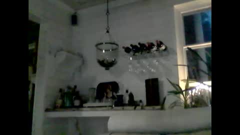 Haky online show from 12.07.24