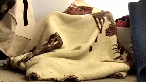 nuevotiempo online show from 02.23.26