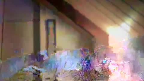 Snapshot of nurod chatting on 12.29.24 nurod online show from 12.29.24