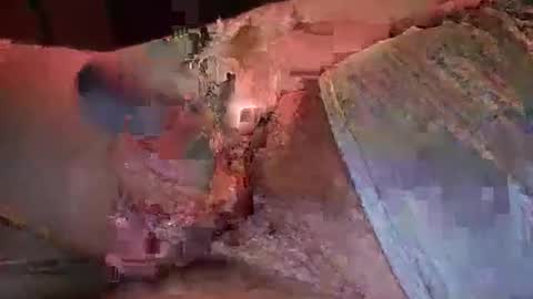 Snapshot of nurod chatting on 01.03.25 nurod online show from 01.03.25