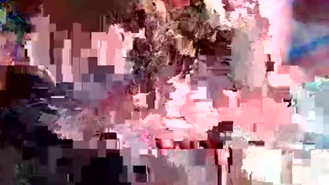 nxrmvljxn online show from 12.01.25