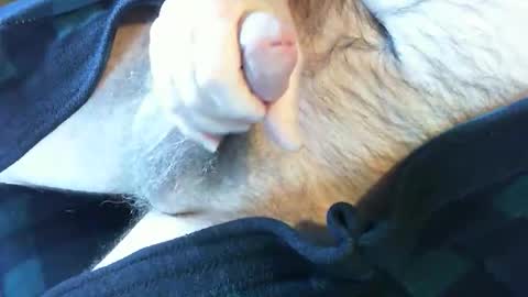 o269x2 online show from 02.13.25