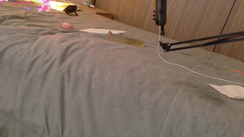 Your Ocean baby 3 online show from 02.11.25