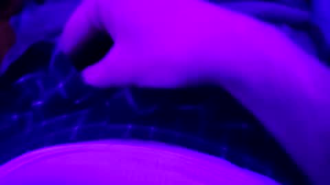 Snapshot of octorok1 chatting on 01.01.25 octorok1 online show from 01.01.25