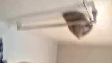 odz9ind online show from 02.05.26