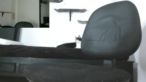 Snapshot of oezack__ chatting on 05.13.26 Zack online show from 05.13.26