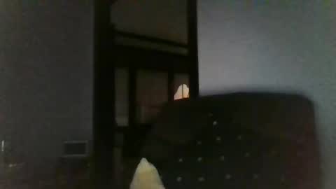 Snapshot of office_slr chatting on 12.26.24 Officer online show from 12.26.24