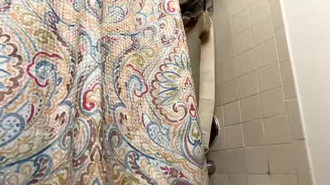 ogtripmushem online show from 11.15.25