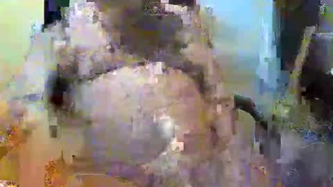 William online show from 11.02.25