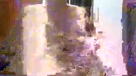 William online show from 12.21.25