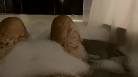 oldbones2 online show from 02.24.25