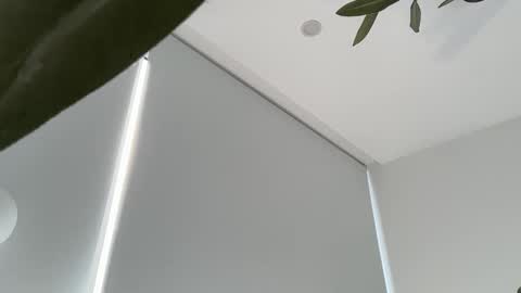 Olivia Brookes online show from 11.30.25