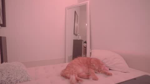 Snapshot of onelittlemermaid chatting on 10.18.25 Ariel online show from 10.18.25