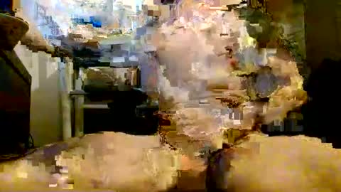 onlyfunnowchat online show from 01.06.26