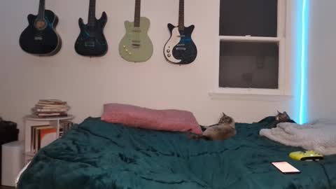 Snapshot of onlystrings chatting on 03.12.25 Duo online show from 03.12.25