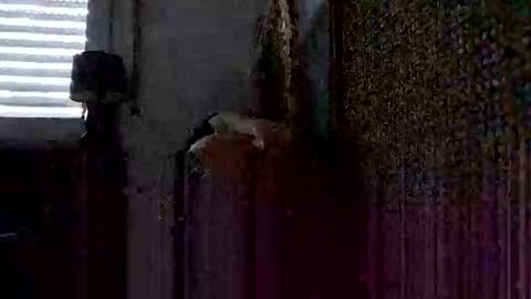 onlywholes online show from 01.26.25