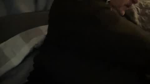 Snapshot of onthedlhere chatting on 12.24.24 onthedlhere online show from 12.24.24