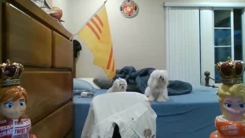 oorah1775 online show from 03.02.25