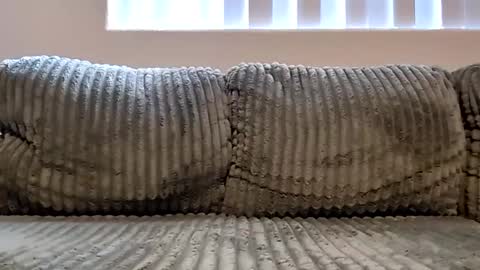 Snapshot of or2jrz chatting on 11.18.25 or2jrz online show from 11.18.25