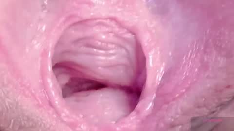 orchidekitty online show from 03.06.26