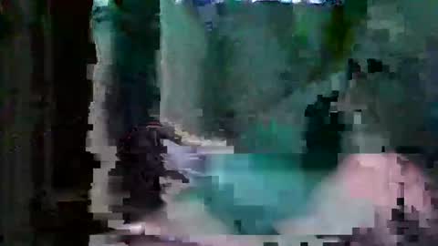 oretrail online show from 02.12.26