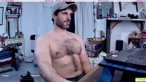 Snapshot of osito_blanco chatting on 05.20.26 Osito Blanco online show from 05.20.26