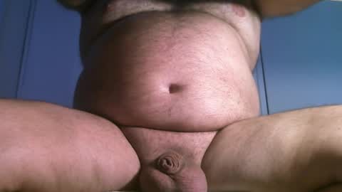 Oso Licencioso online show from 03.31.26