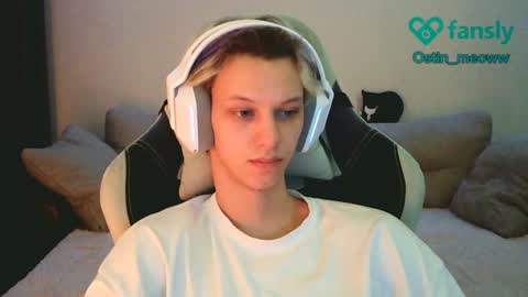 Snapshot of ostin_meoww chatting on 01.19.25 Ostin online show from 01.19.25