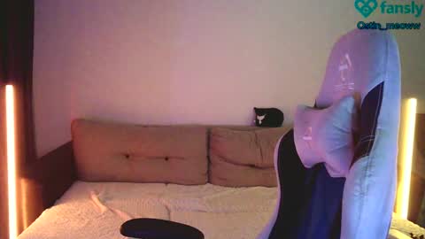 Snapshot of ostin_meoww chatting on 02.24.25 Ostin online show from 02.24.25