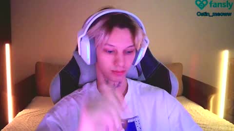 Snapshot of ostin_meoww chatting on 03.04.25 Ostin online show from 03.04.25