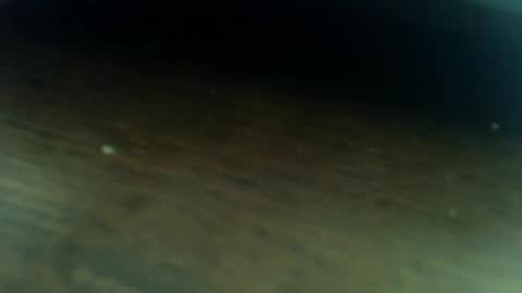 Lucas online show from 03.05.26