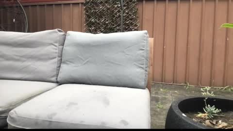 Hrny aussie surfer online show from 09.27.25