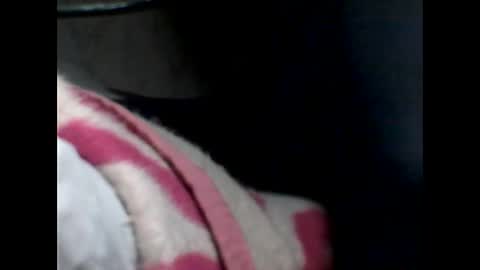 p_ro_rok online show from 02.07.26