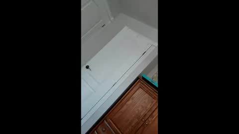 Snapshot of pablohorny69 chatting on 01.22.25 Pablo Nina online show from 01.22.25