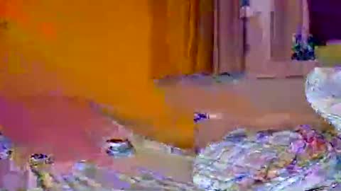 Snapshot of pachoxx9 chatting on 02.01.25 Pachoxx9 online show from 02.01.25