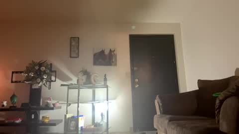 PrincessTsVivian online show from 12.17.24