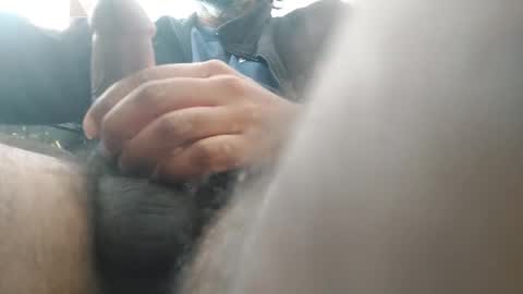 palatco online show from 01.19.26