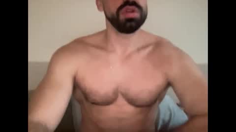 paljp online show from 02.24.26