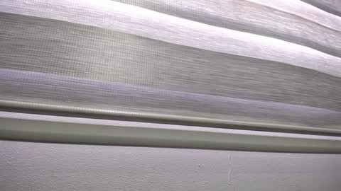 Palmer online show from 01.13.25