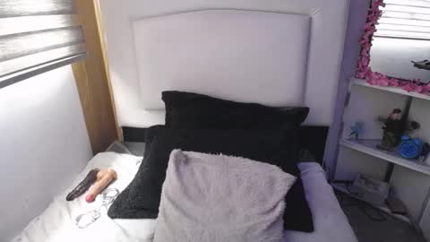 Palmer online show from 03.12.25