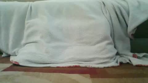 palmerwoodx online show from 02.02.26