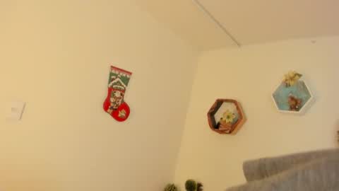 Paloma  online show from 12.19.25